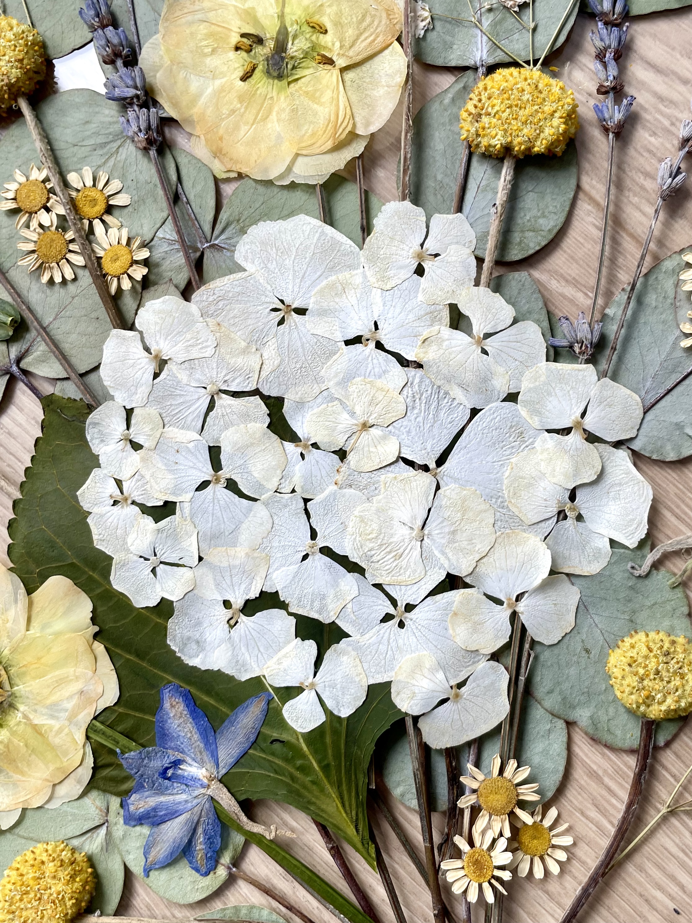 Hortensia pressé composition florale mariage