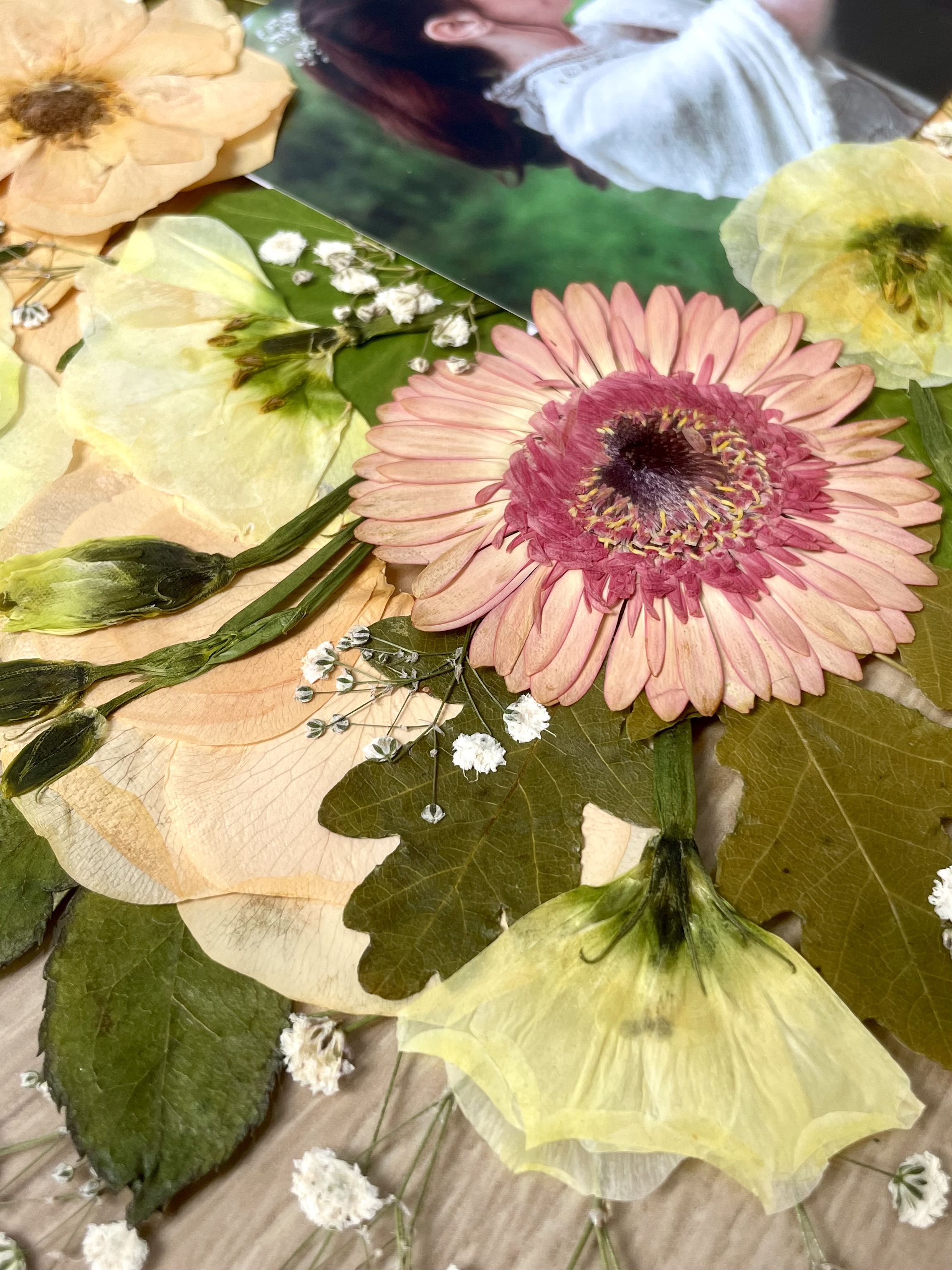 LISIANTHUS composition fleurs pressées