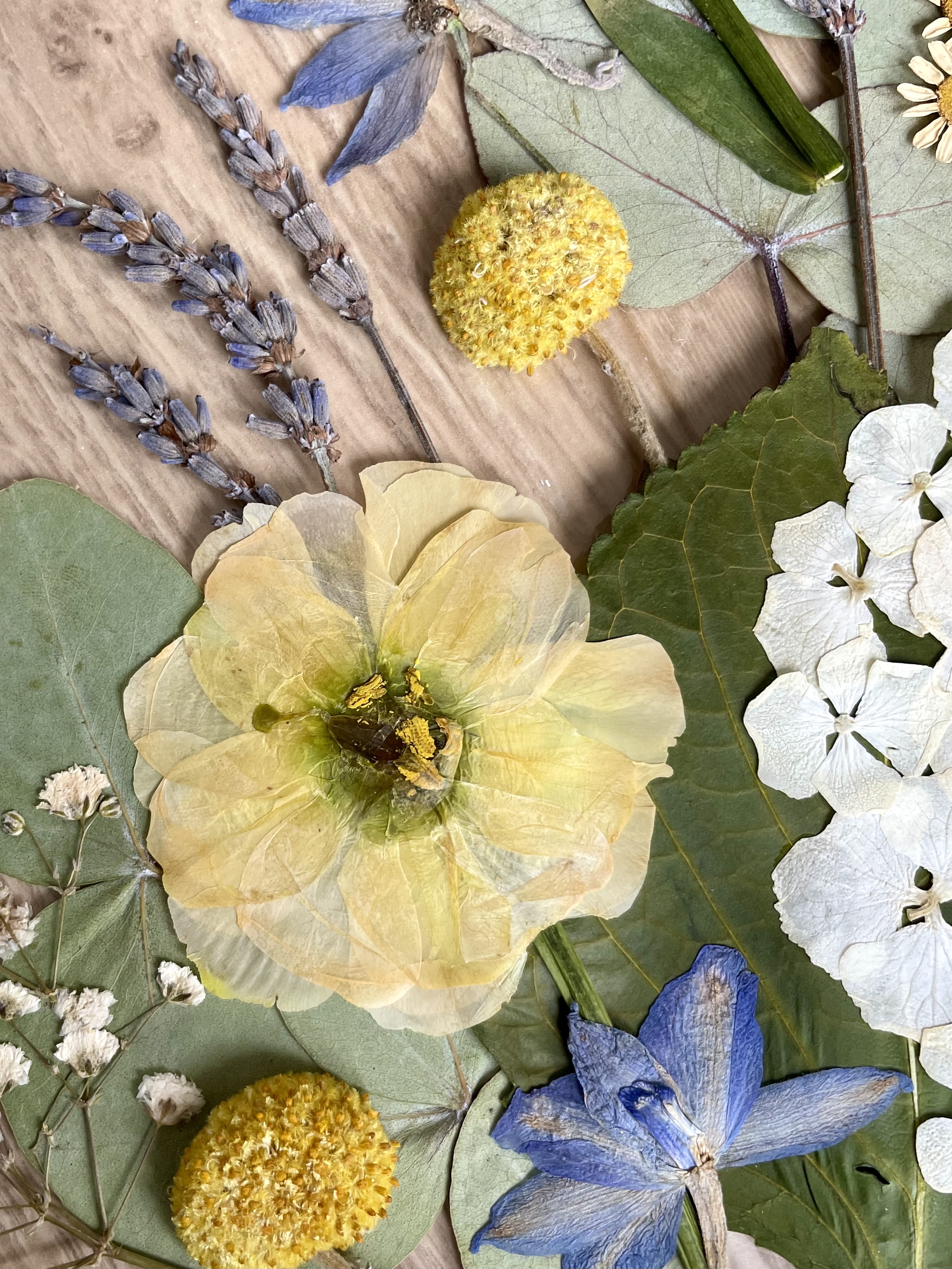 LISIANTHUS pressé conservation bouquet mariage