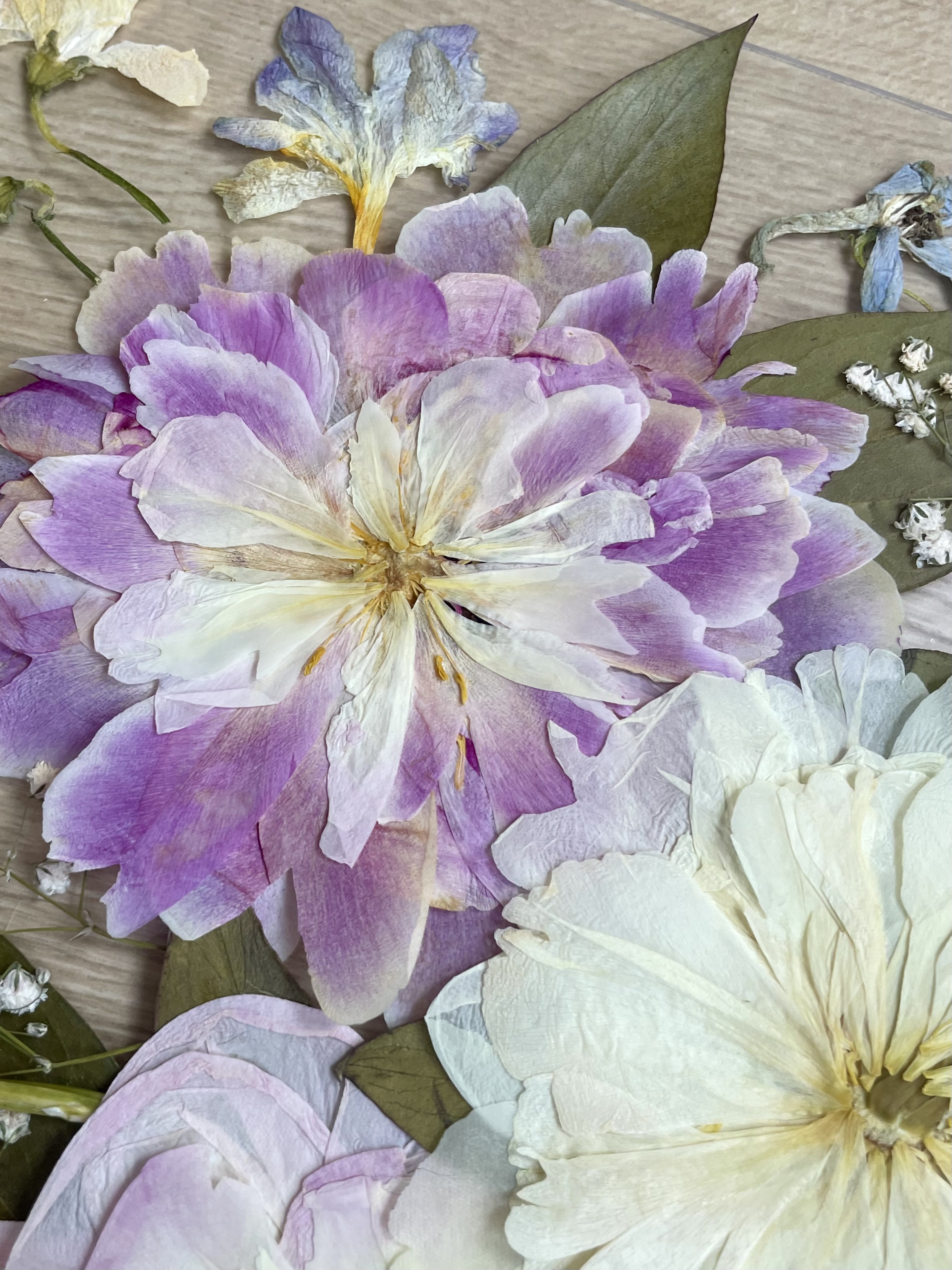 Pivoine rose pressée bouquet mariée