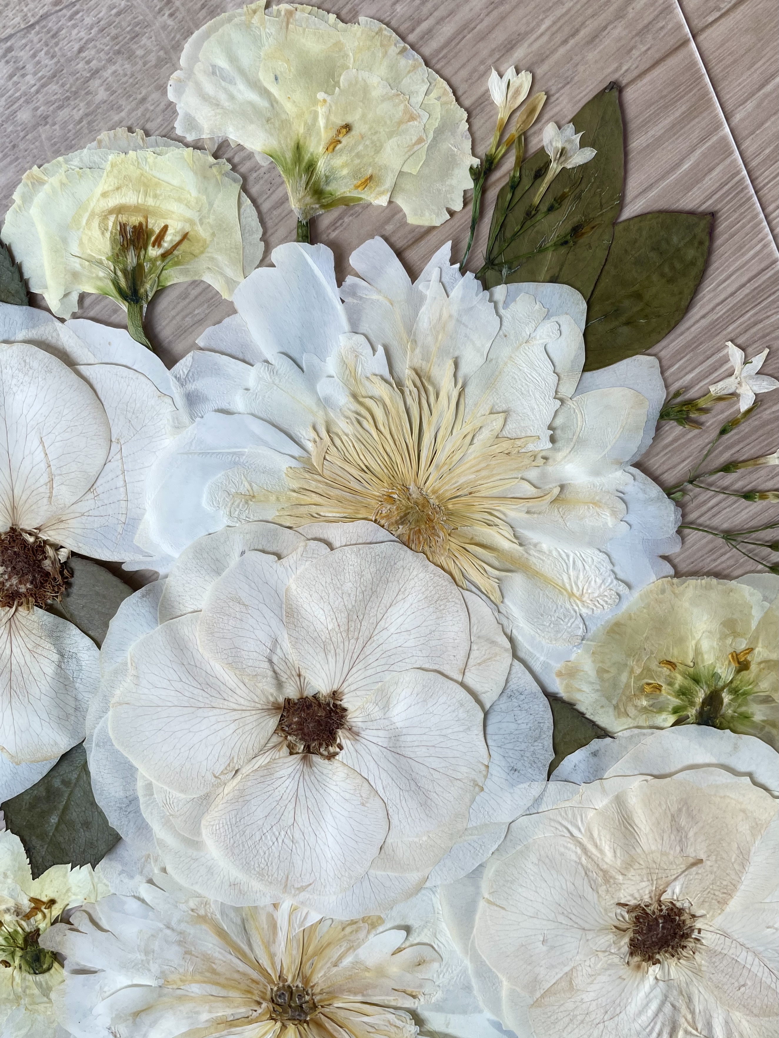 Pivoines blanches pressées herbier bouquet mariée
