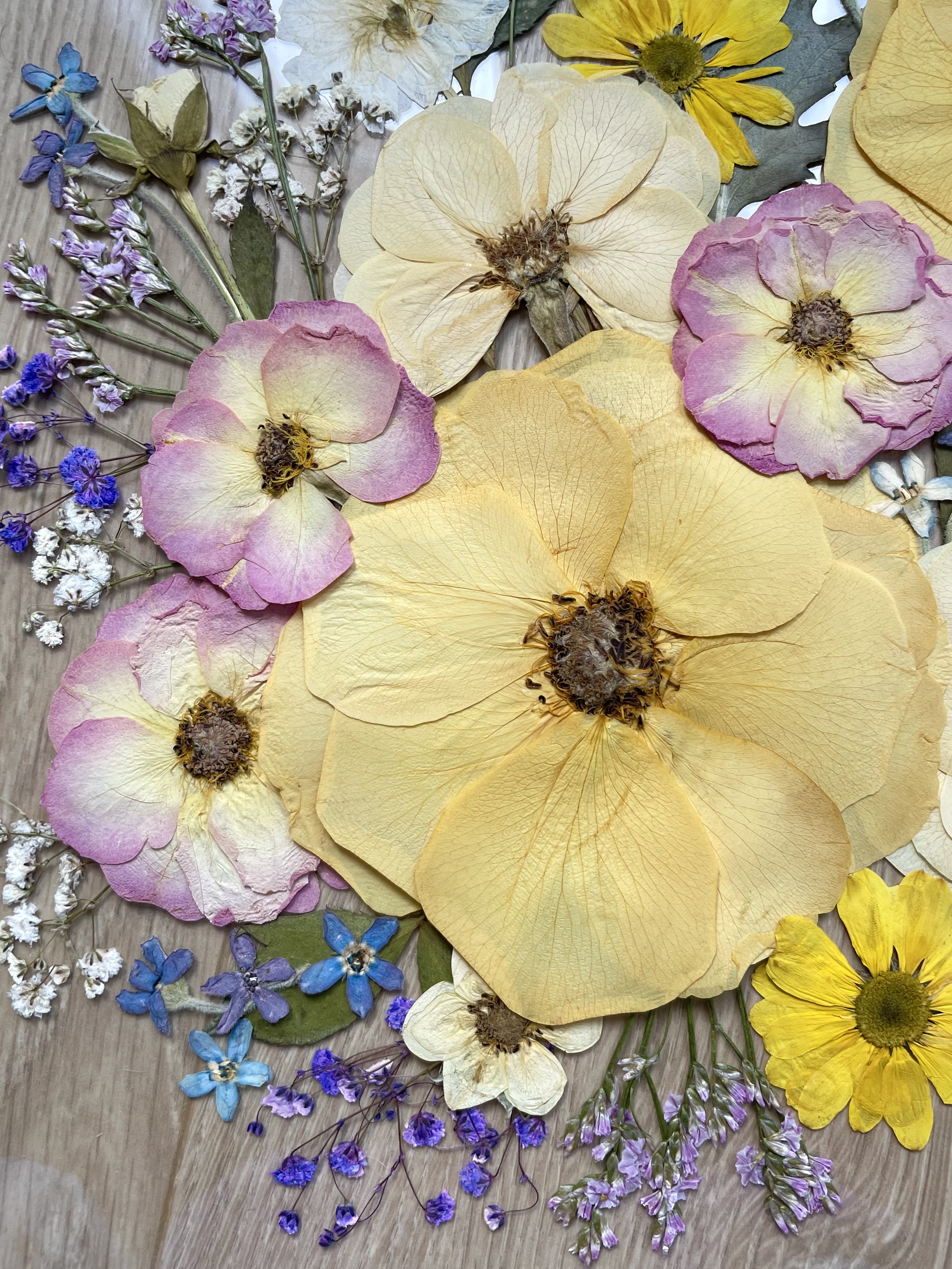 Herbier de mariage roses pressées multicolores
