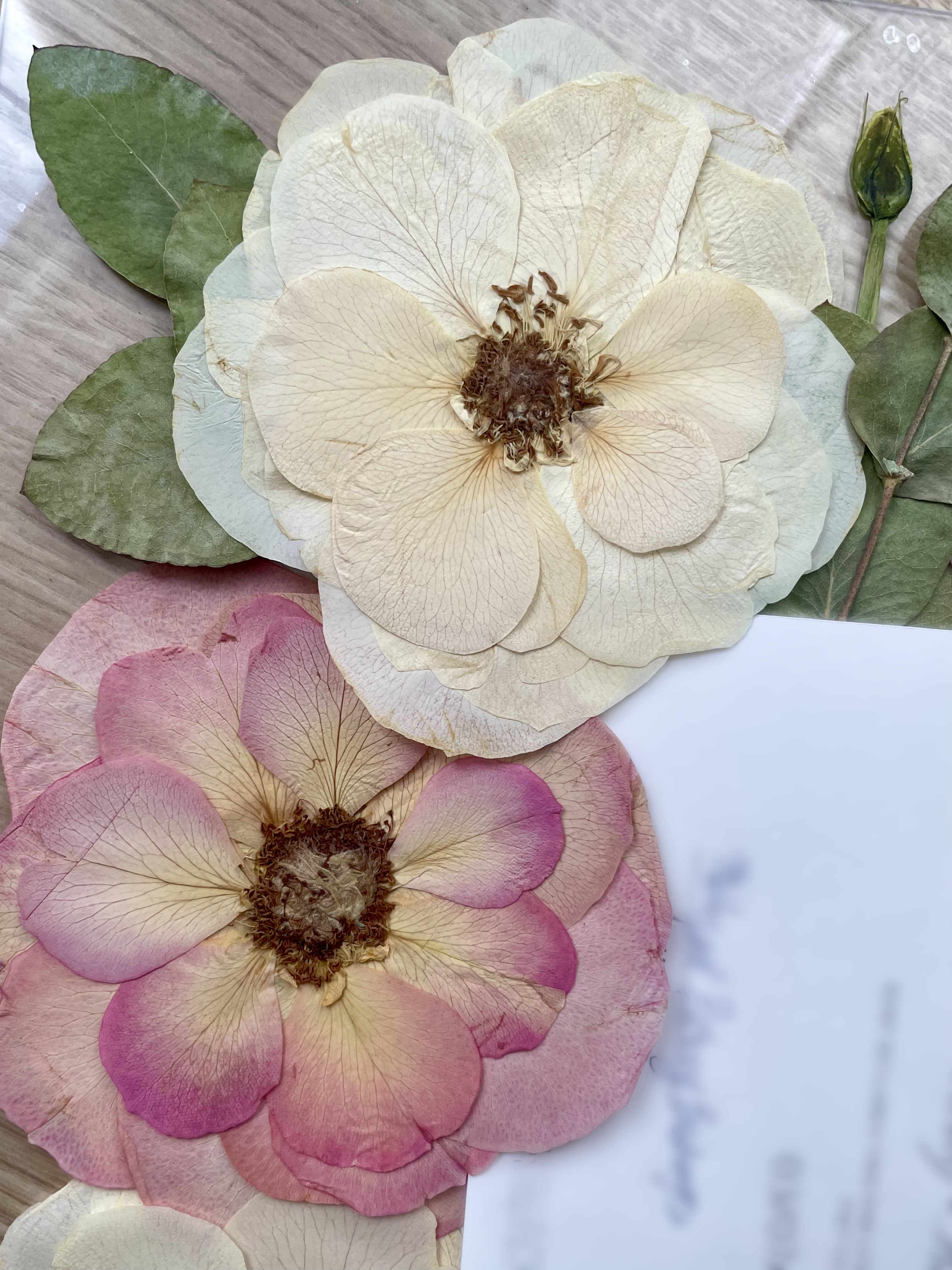 Roses pressées, conservation bouquet de mariage Paris