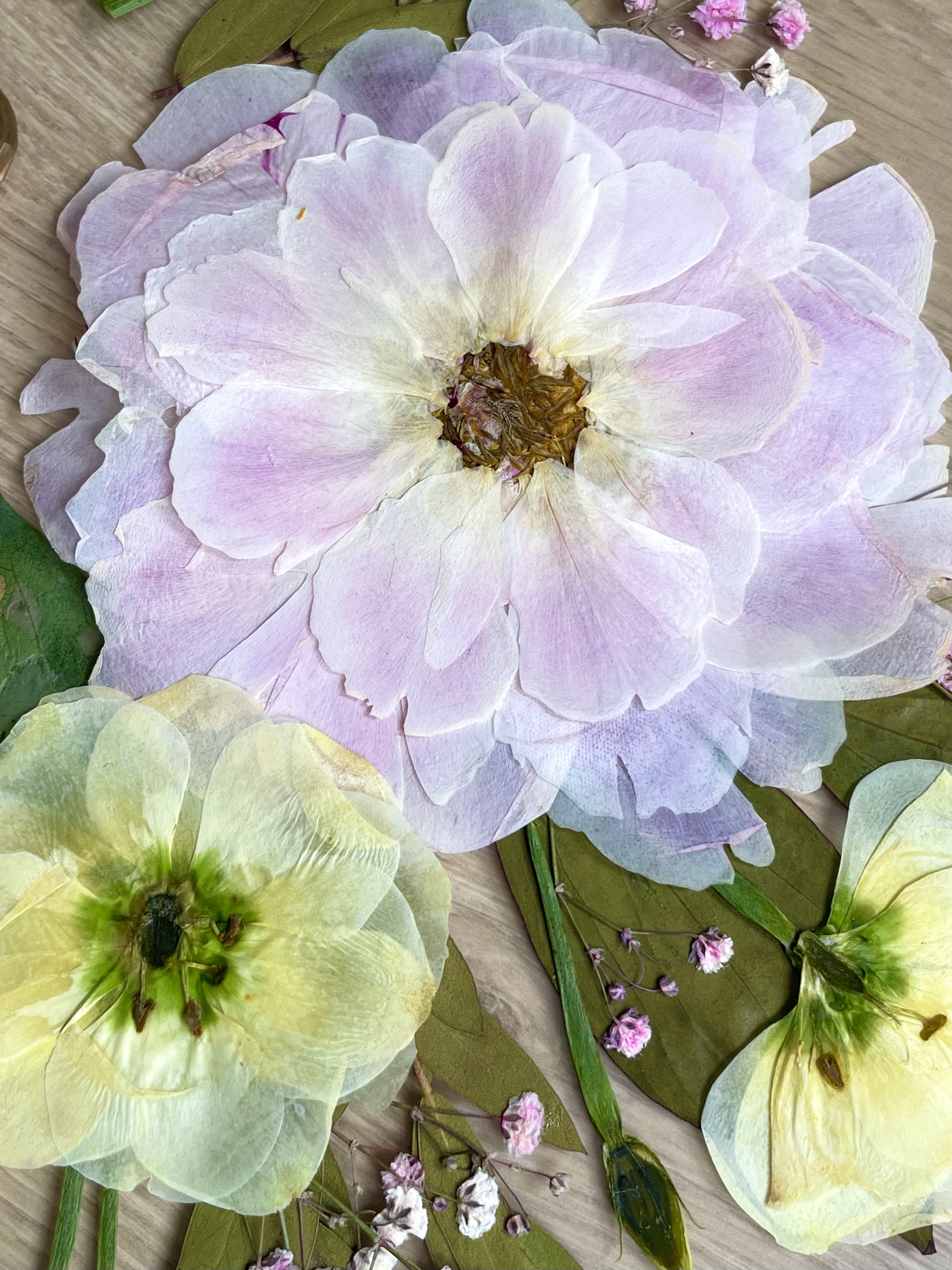 Bouquet de mariage pressé - pivoine rose pressée et encadrée en herbier souvenir