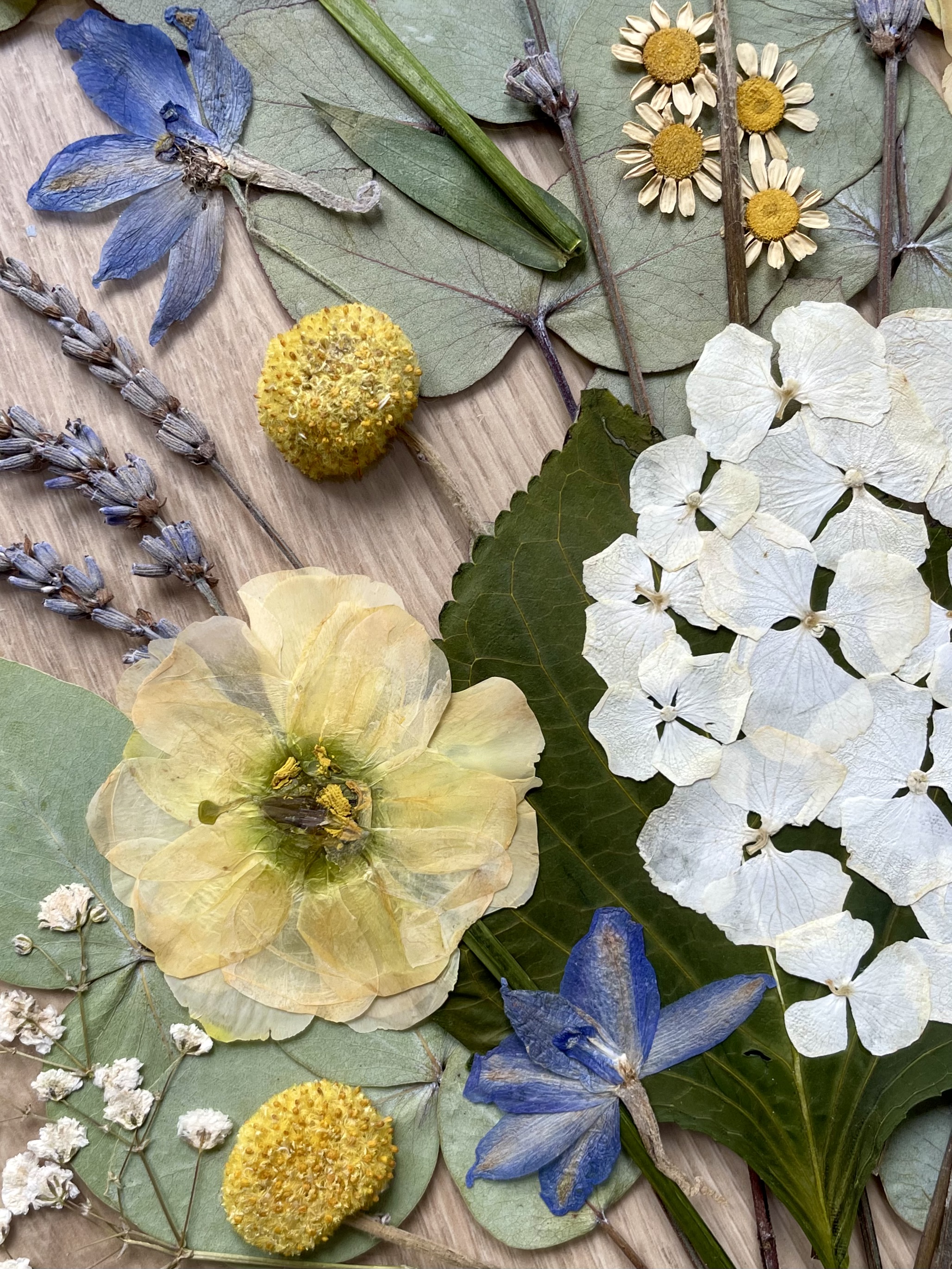 Faire transformer son bouquet de mariage en cadre de fleurs pressées par une artiste Parisienne