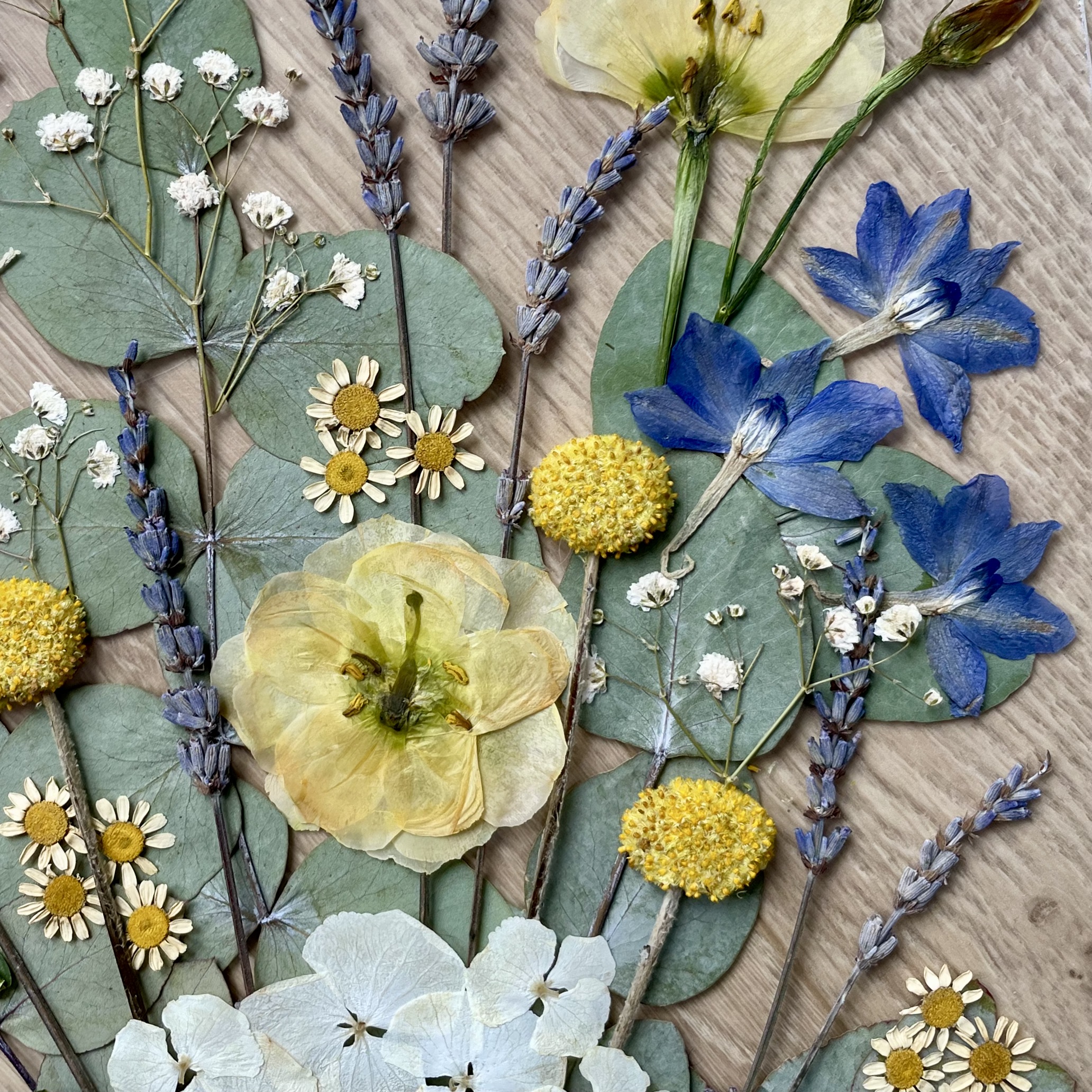 Conservation de bouquet de mariage en composition de fleurs pressées encadrée sur Paris